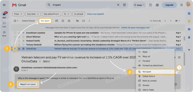 How to mark an email as Not Spam in Gmail