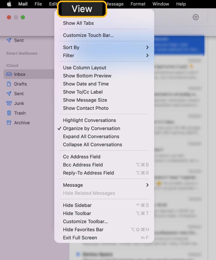 can i email a text thread from my iphone