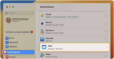 Under Application Notifications, select the app you use for email