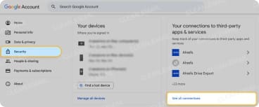 Google Apps and Services access