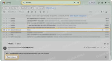 Gmail spam folder on the web