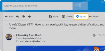 Select Spam to direct future messages to your Spam folder