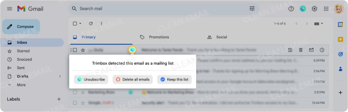 Detect mailing lists to reduce inbox clutter