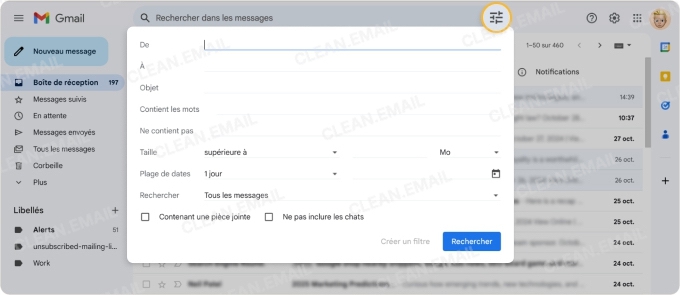 Cliquez sur le bouton « Afficher les options de recherche »